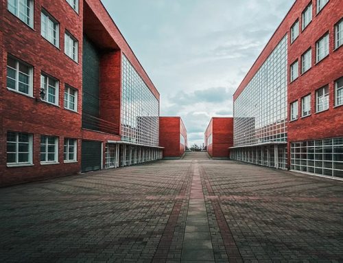 Traditional vs Online: Which school suits your style